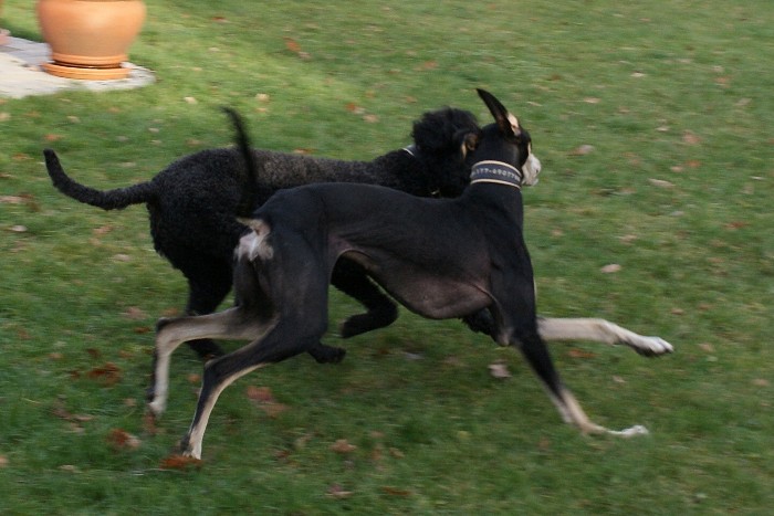 Mitraa + Hanka